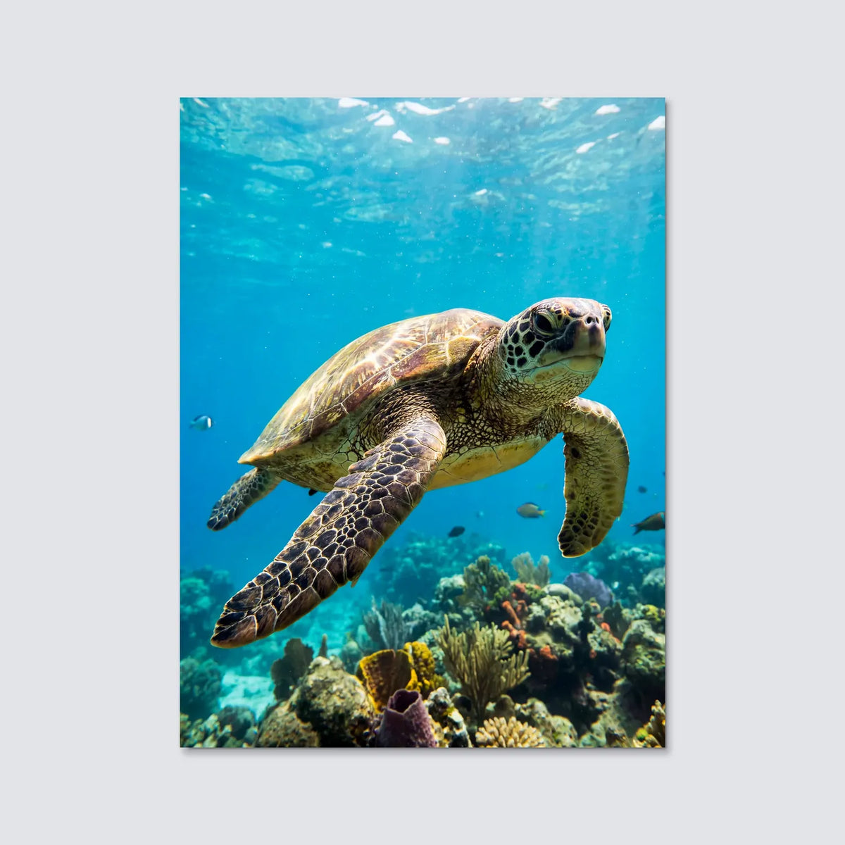 Tableau Tortue Marine | en Métal Format A3