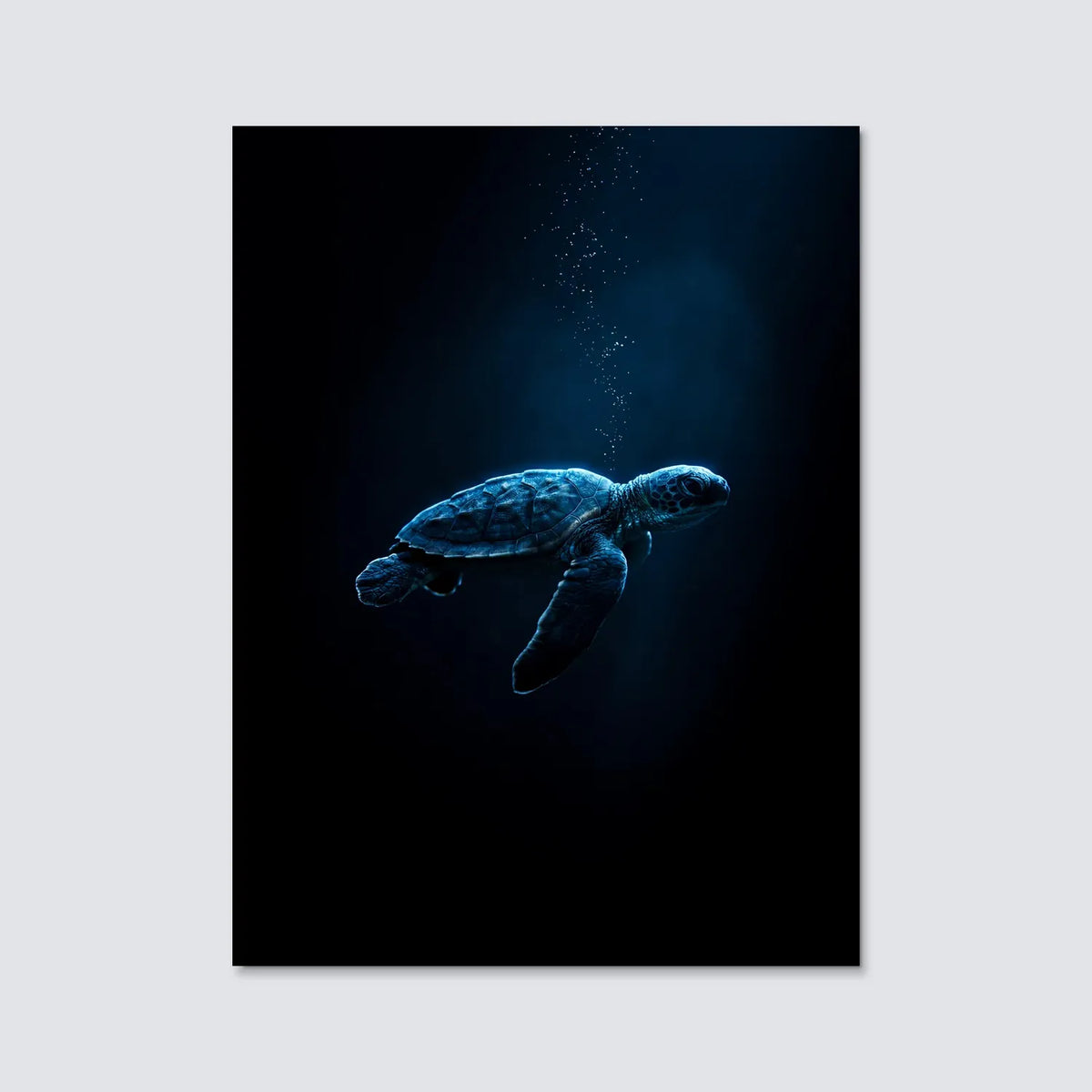 Tableau Tortue des Fonds Marins | en Métal Format A3
