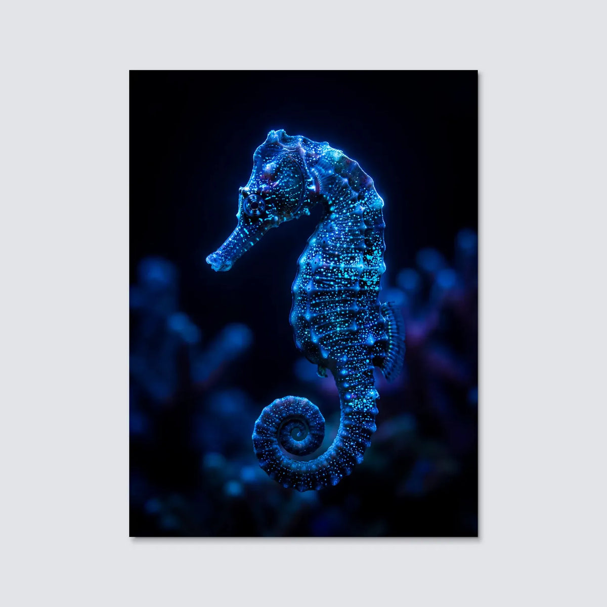 Tableau Hippocampe Bleu | en Métal Format A3