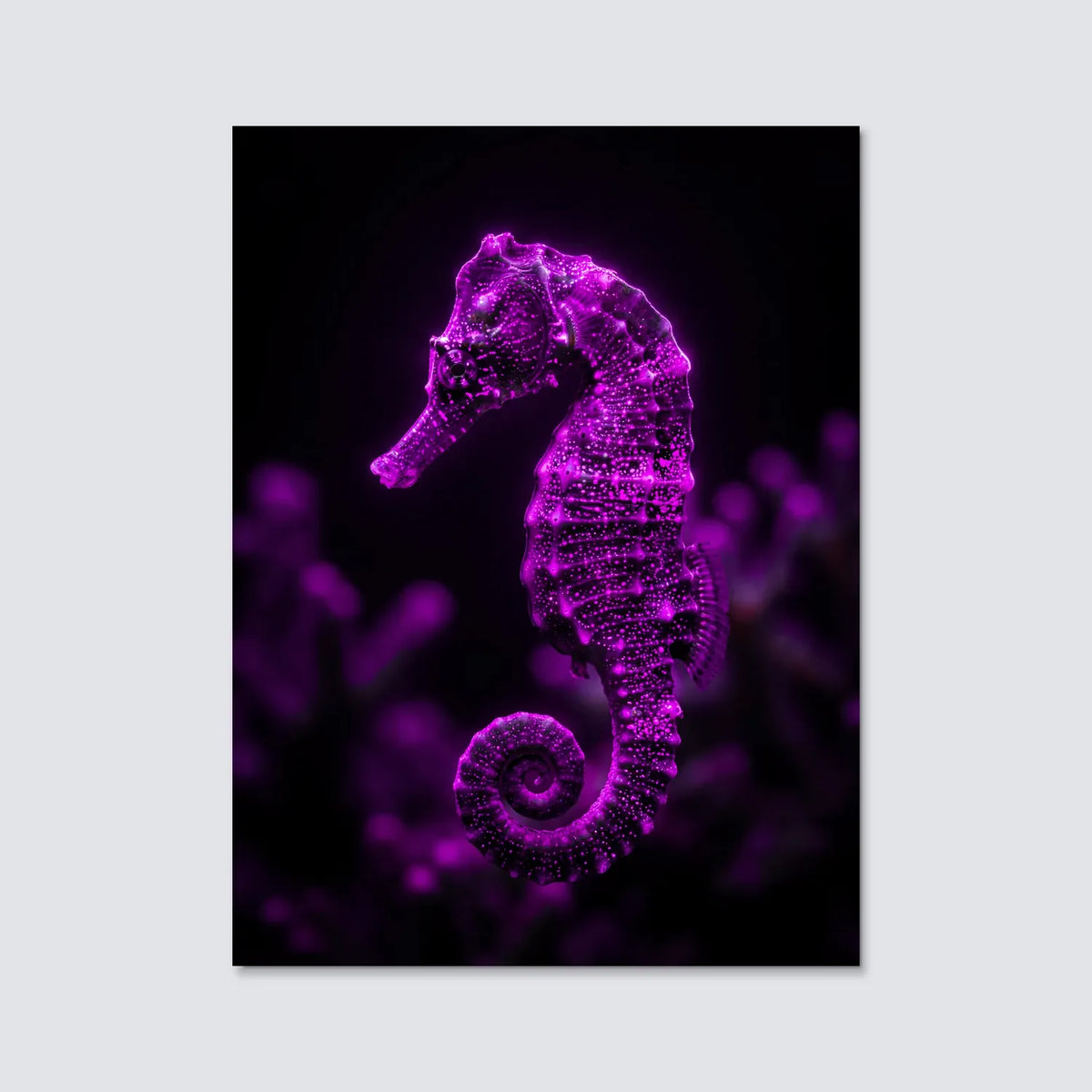 Tableau Hippocampe Violet | en Métal Format A3